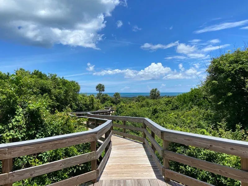 A cool walkway leading out to the ocean on the Outer Banks.