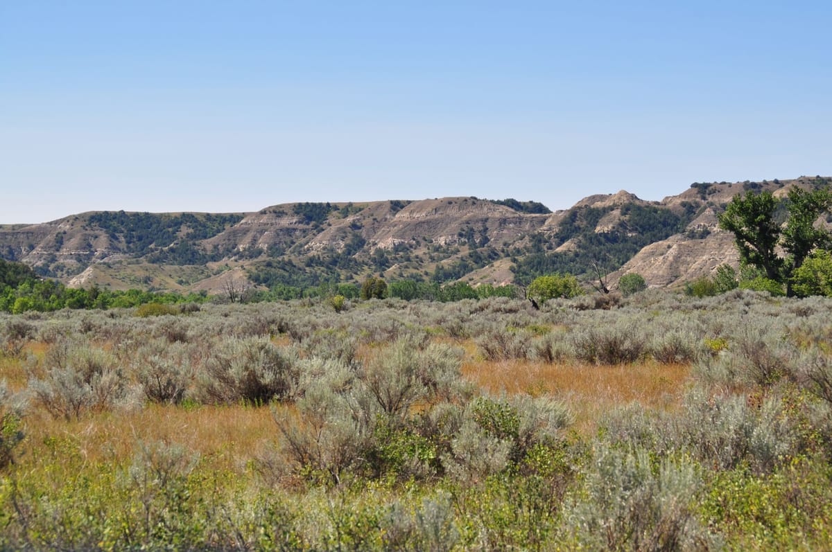 Visiting Theodore Roosevelt National Park Post feature image