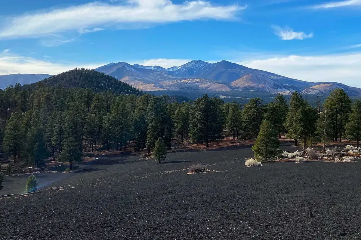 Five Reasons I Love Flagstaff Post feature image