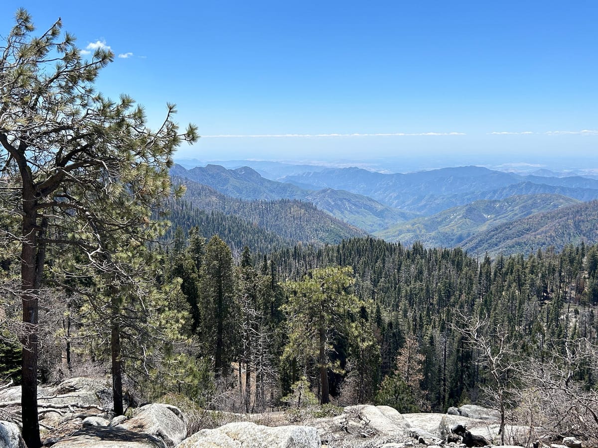 Visiting Sequoia National Park Post feature image