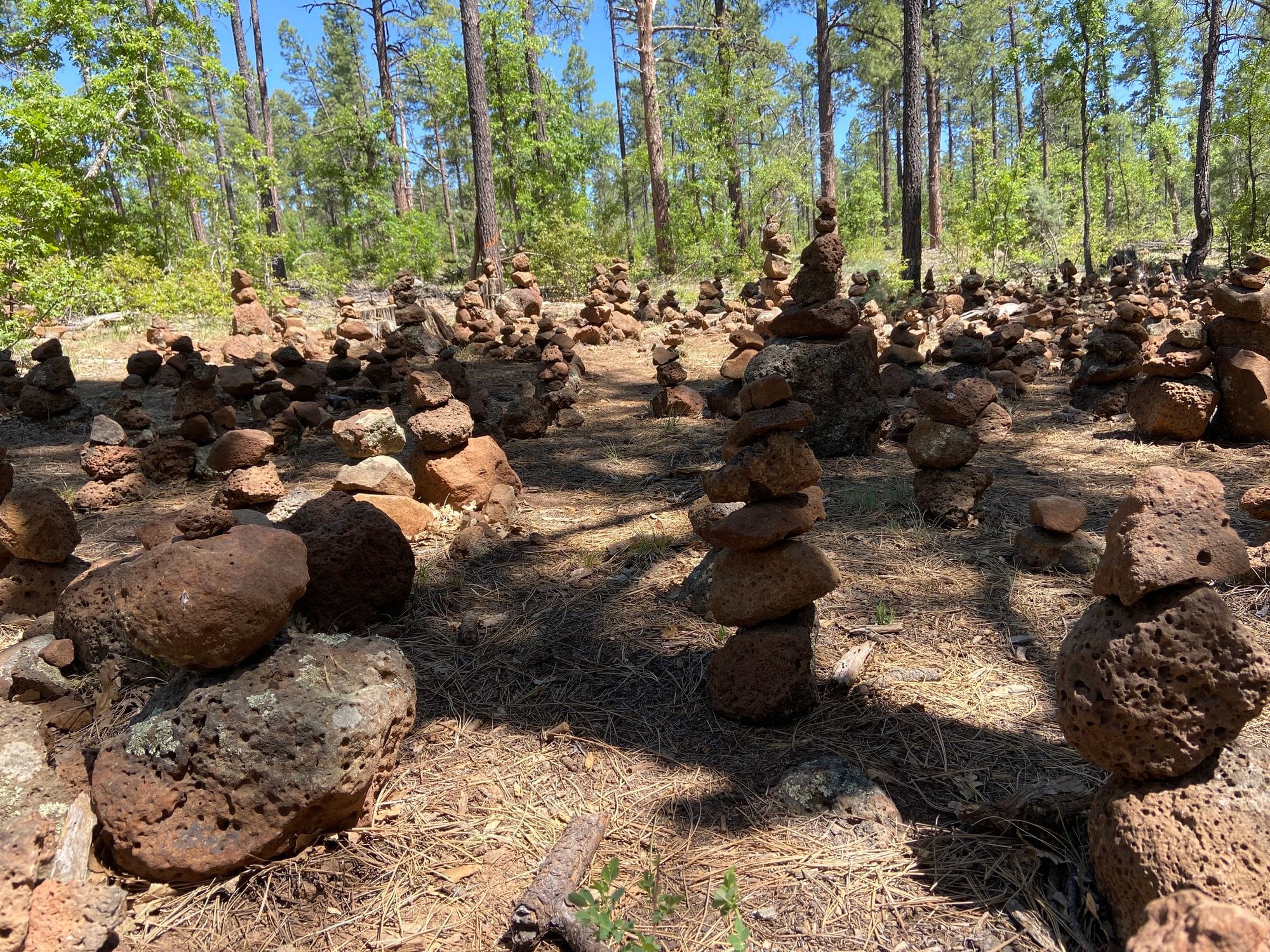 Visiting Pinetop, Arizona Post image