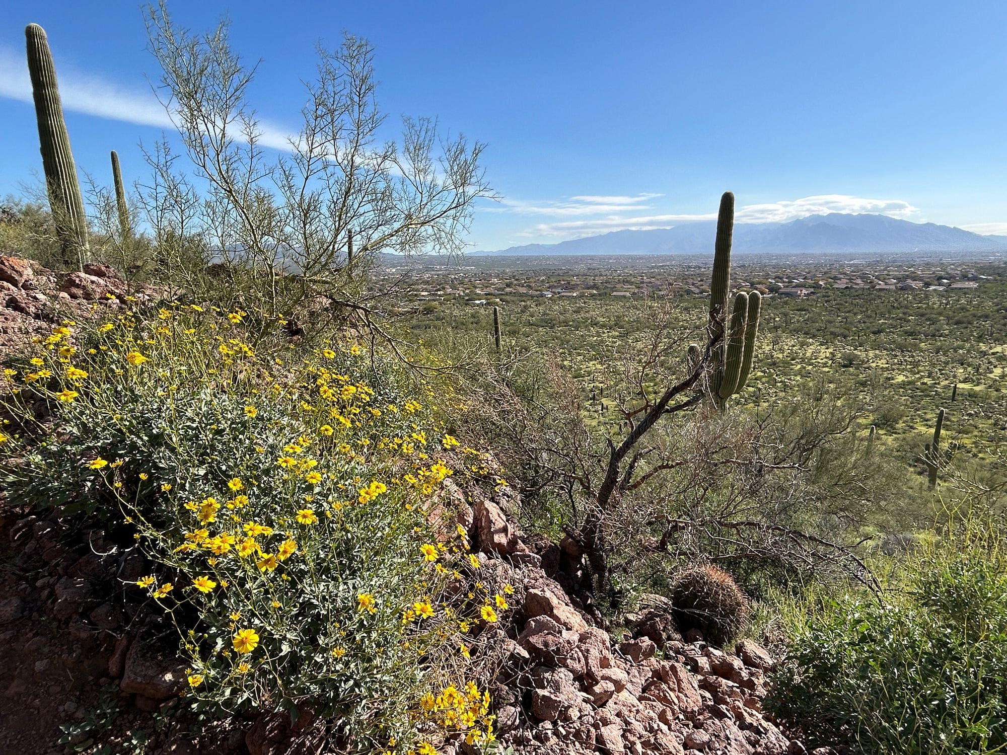 Hiking in Saguaro National Park Post image